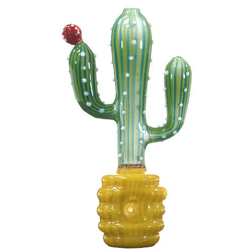 Cactus in Pot 5.5